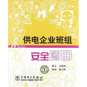 正版 供电企业班组安全图册 吴晓风 中国电力出版社