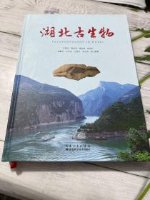 湖北古生物 汪嘯風(fēng) 賴旭龍 童金南 陳孝紅 9787570608492