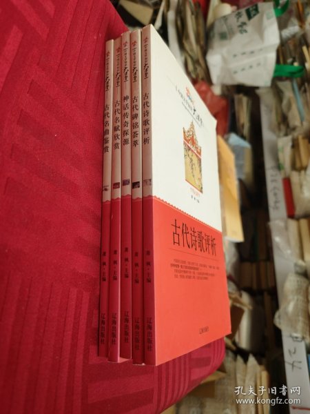 中国文学知识大课堂5本
