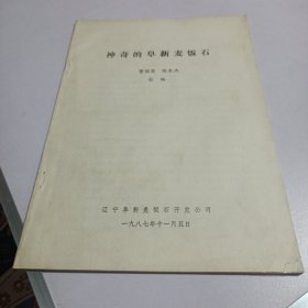 神奇的阜新麦饭石