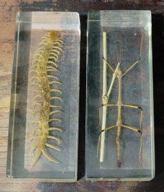 早期手工制作的竹雕蜈蚣秋虫镇纸2件雕工精致逼真