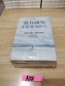 不负流年（套装全5册）努力成为你想成为的人+愿你历尽千帆+你的坚持终将美好+所有失去的+没伞的孩子