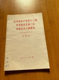 在中国共产党第十三届中央委员会第三次全体会议上的报告