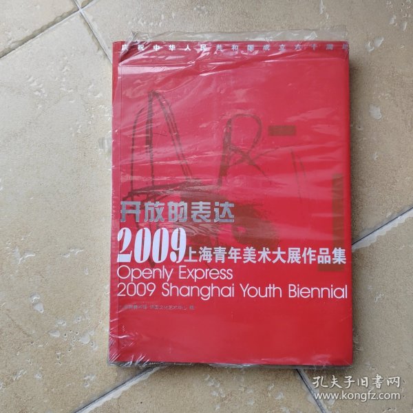 开放的表达2009上海青年美术大展作品集