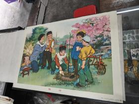 年画.植树（林美岚作1980年第一版，人民美术出版社，尺寸77X53，画边有点破，品相如图，看好在下单，纸品容易破损，售后不退）