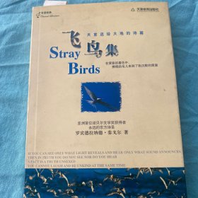 飞鸟集 天津教育出版社 白鸽书世界