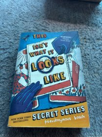 This Isn't What It Looks Like (The Secret Series)