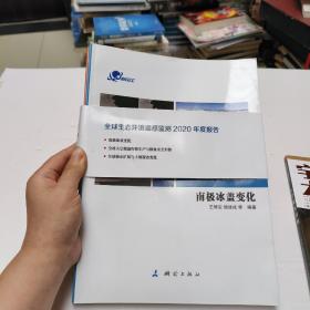 全球生态环境遥感监测2020年度报告(全球城市扩展与土地覆盖变化)