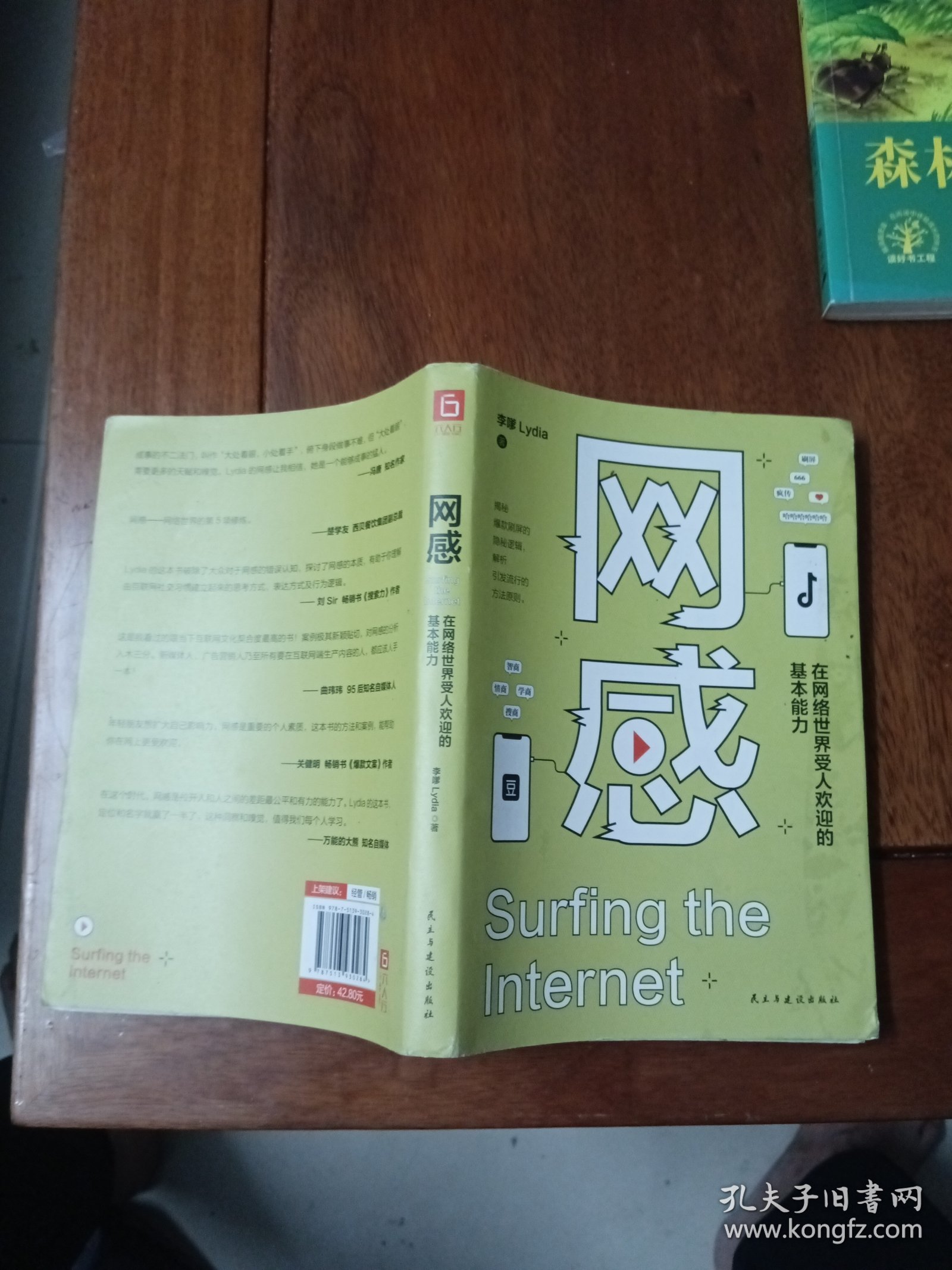 网感：在网络世界受人欢迎的基本能力（冯唐、关健明、西贝副总裁盛赞推荐。新媒体人，广告营销人的必读书。