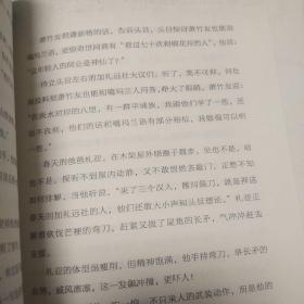 长青藤书系宋庆龄儿童文学奖：少年噶玛兰