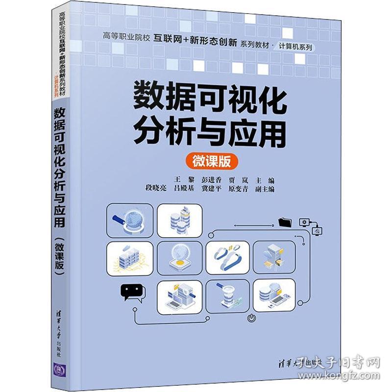 数据可视化分析与应用 微课版 大中专理科计算机 作者 新华正版