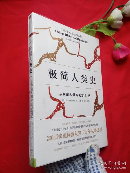 极简人类史：从宇宙大爆炸到21世纪