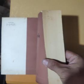 中国新文学史初稿(上下册)