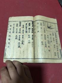 清光绪三十年蒙学堂用书《绘图文学初階》原装一册全，品如图