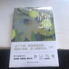 星星之眼（知名导演陈嘉上感动推荐，随书附赠原创文艺风卡片）未开封