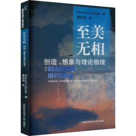 至美无相 创造、想象与理论物理 9787312032035 (意)维尼亚勒 中国科学技术大学出版社