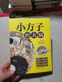 小方子治大病 中医书籍养生偏方大全民间老偏方美容养颜常见病防治 保健食疗偏方秘方大全小偏方老偏方中医健康养生保健疗法