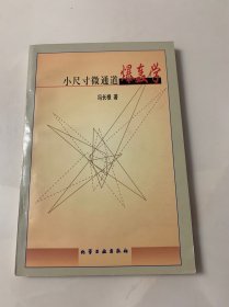 小尺寸微通道爆轰学