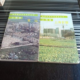 地区经济开发信息丛书(上海卷)2册合售
