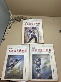 高尔夫大师系列全三册 高尔夫短打秘笈 高尔夫长打绝招 高尔夫实战心法