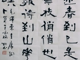 隶书书法 三尺整张毛笔手写 毛主席词卜算子咏梅 50厘米 X 100厘米 画心未裱