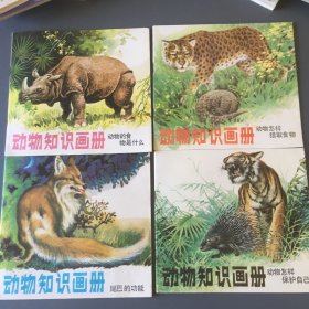 动物知识画册4本