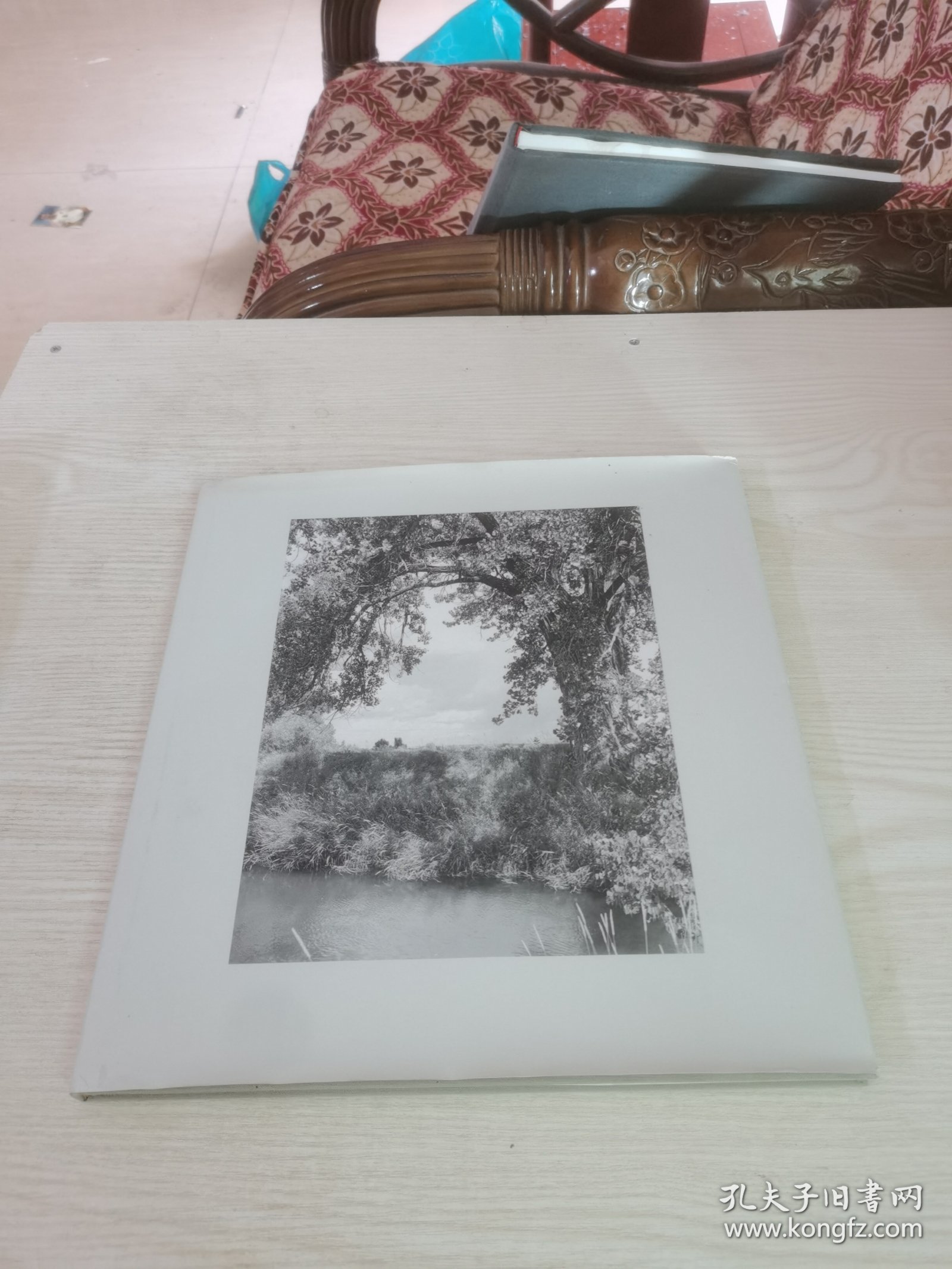 Robert Adams: Cottonwoods 罗伯特亚当斯: 白杨