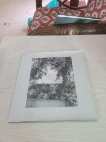 Robert Adams: Cottonwoods 罗伯特亚当斯: 白杨