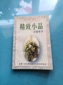 精致小品.抒情哲学