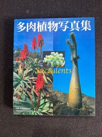 多肉植物写真集：国际多肉植物协会 中日英3国文字