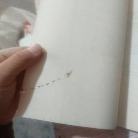 人体生物力学与矫形器设计原理