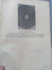 1963年 中国第一位细菌学博士 余㵑编《医学微生物学》高等医药院校教科书，16开