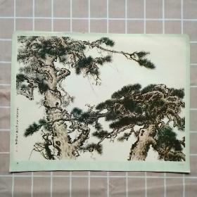 松(8开画页)关山月