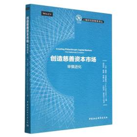 创造慈善资本市场：审慎进化