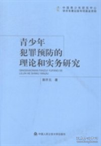 青少年犯罪预防的理论和实务研究