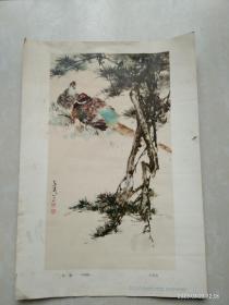 松雉  (中国画)