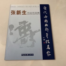 中国西部当代书画名家精品大系丛书