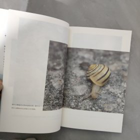 从容生活温柔处世