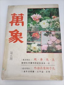 萬(wàn)象 第五期