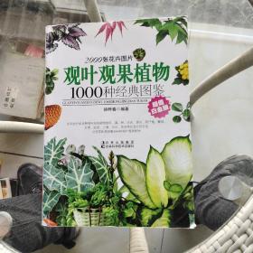 观叶观果植物1000种经典图鉴（超值白金版）