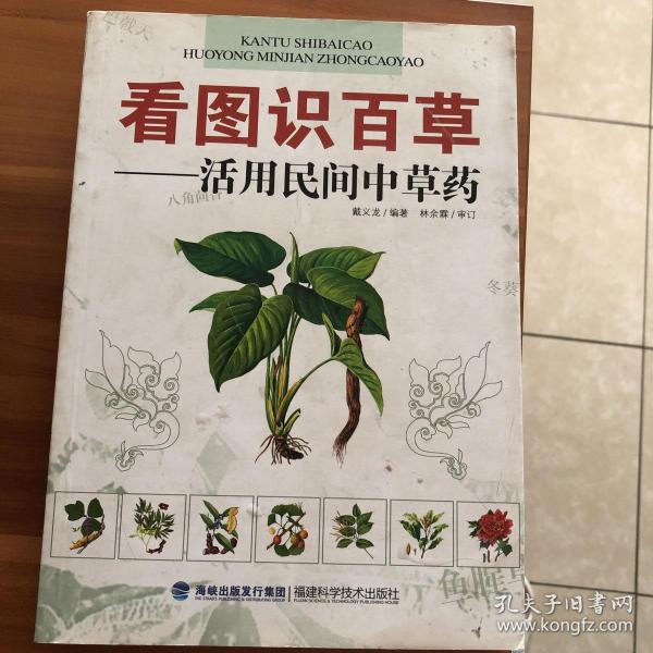 看图识百草：活用民间中草药