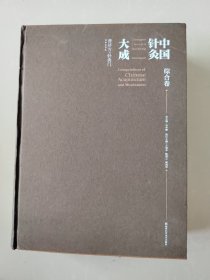 中国针灸大成·综合卷（普济方·针灸门）