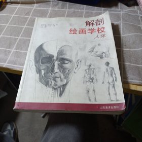 解剖绘画学校：人体