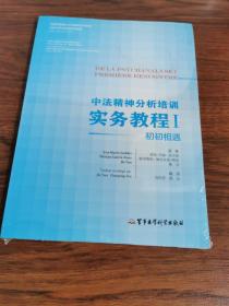 中法精神分析培训实务教程1:初初相遇