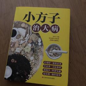 小方子治大病   中医书籍养生偏方大全民间老偏方美容养颜常见病防治 保健食疗偏方秘方大全小偏方老偏方中医健康养生保健疗法