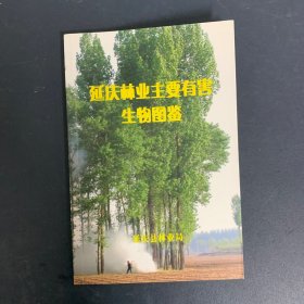 延庆林业主要有害生物图鉴