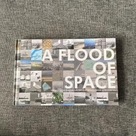 A FLOOD OF SPACE  含光盘