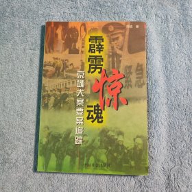 霹雳惊魂 京城大案要案追踪 (一版一印) 正版