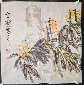 汪云壑     花卉小品     老画