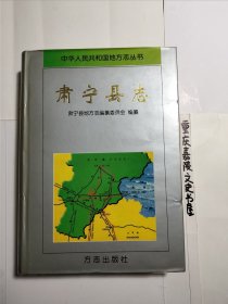 肃宁县志